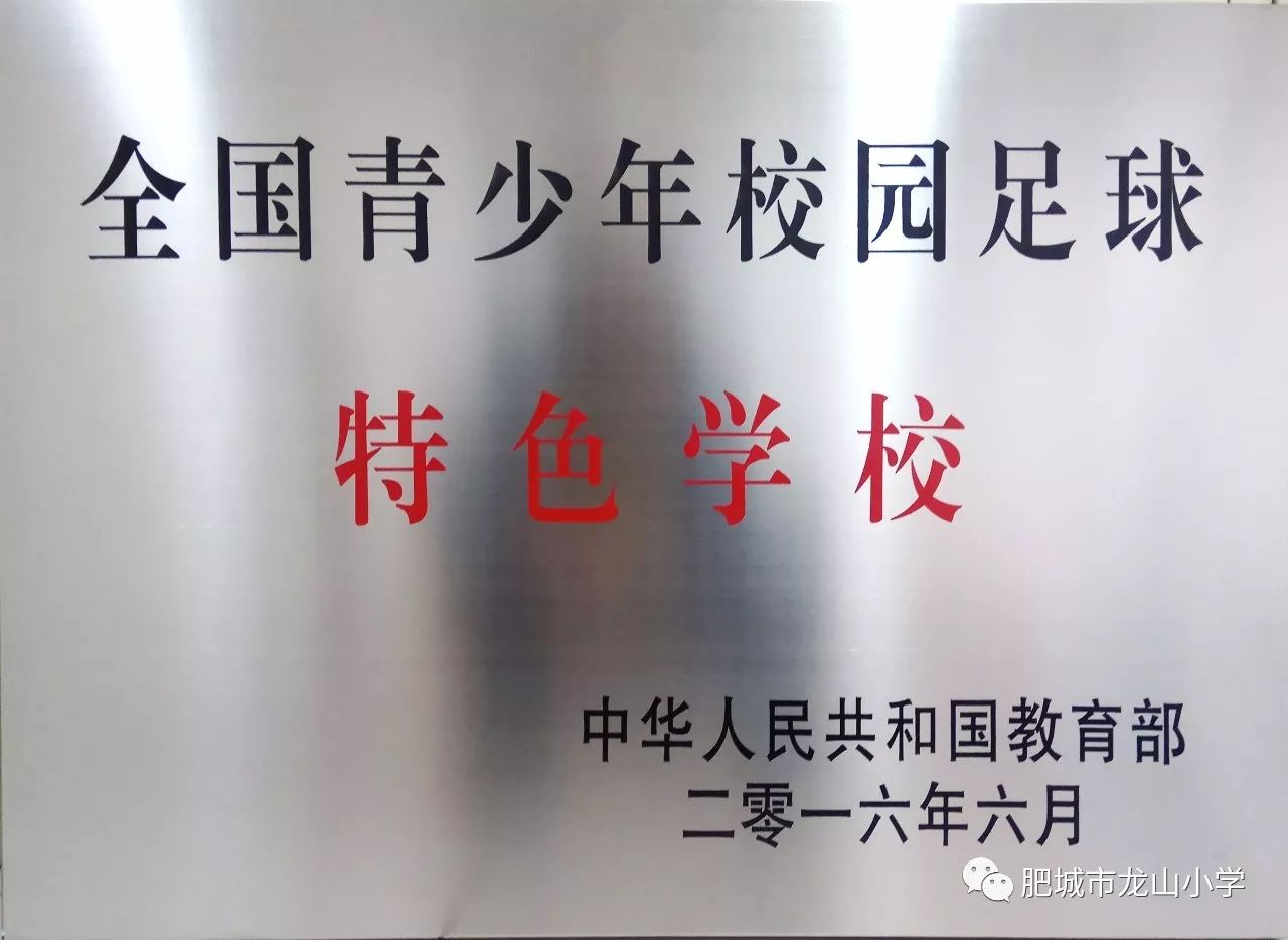 米兰体育:中国足球公益足球项目社会效益评估：促进青少年健康成长与社会融合的简单介绍