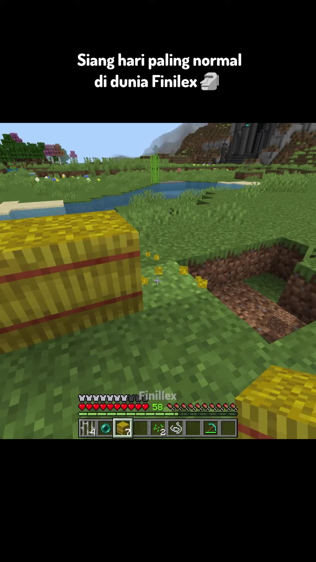 米兰体育:《Minecraft》生存技巧提升：高手分享玩法经验