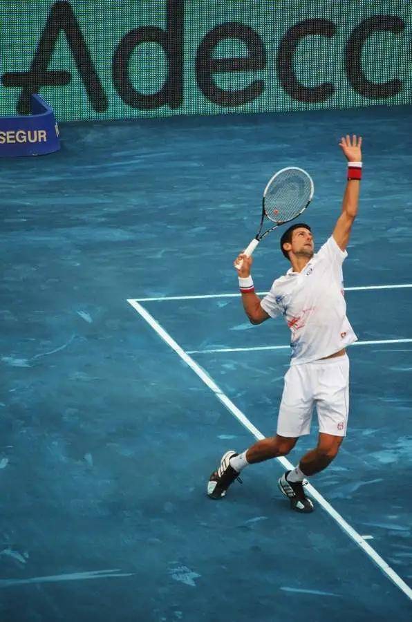 米兰体育:男子网球赛季总结，谁会成为年度最佳球员？的简单介绍