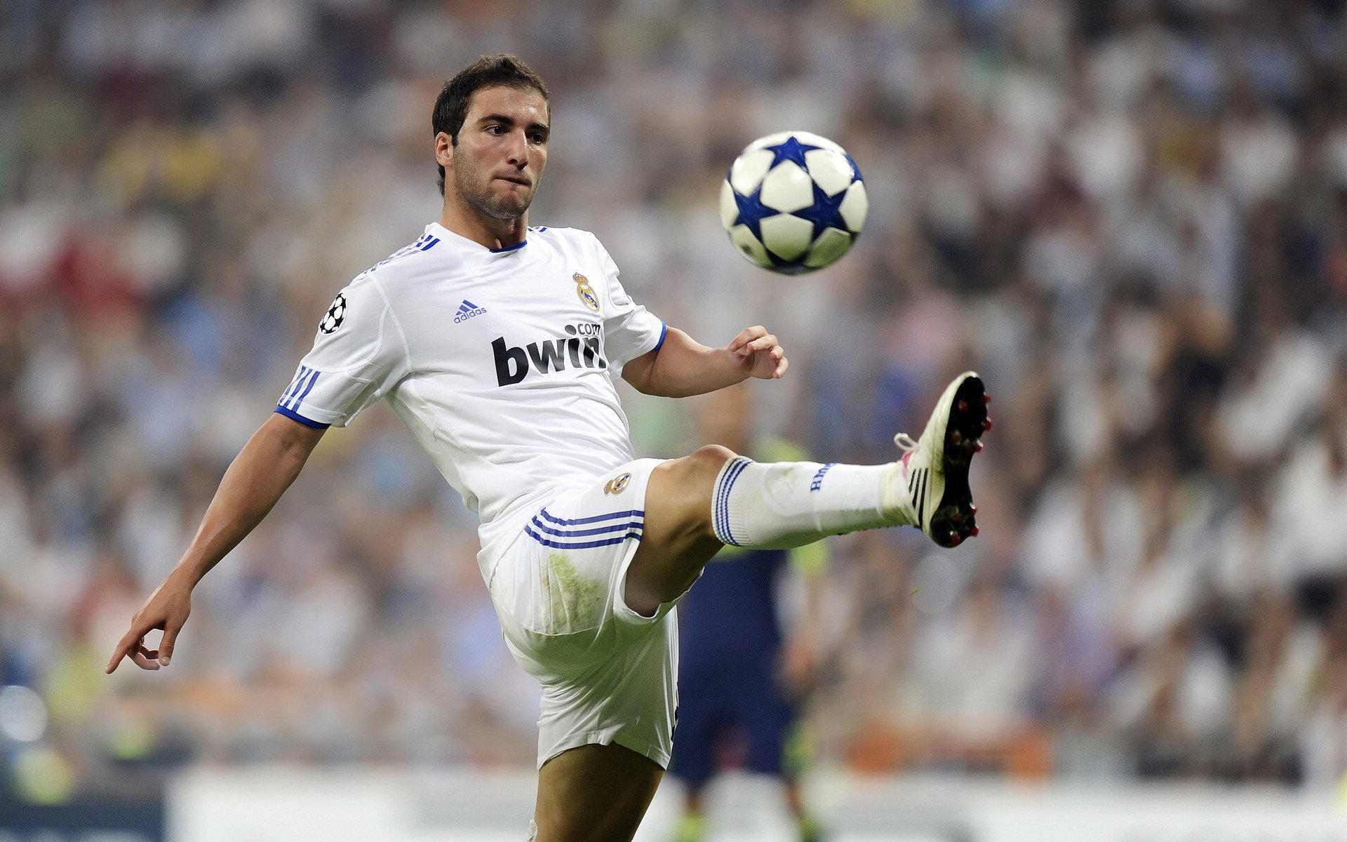 明星对决:张伟砍下31分,场上如日中天!,明星看张伟丽比赛