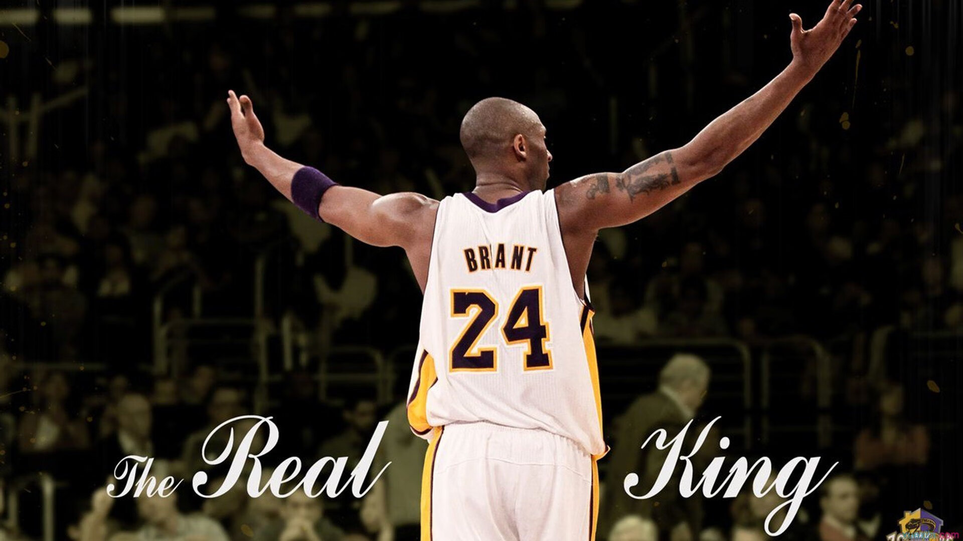 赛事组织服务规范化，确保比赛顺利进行与观众体验，赛事的组织和策划的流程