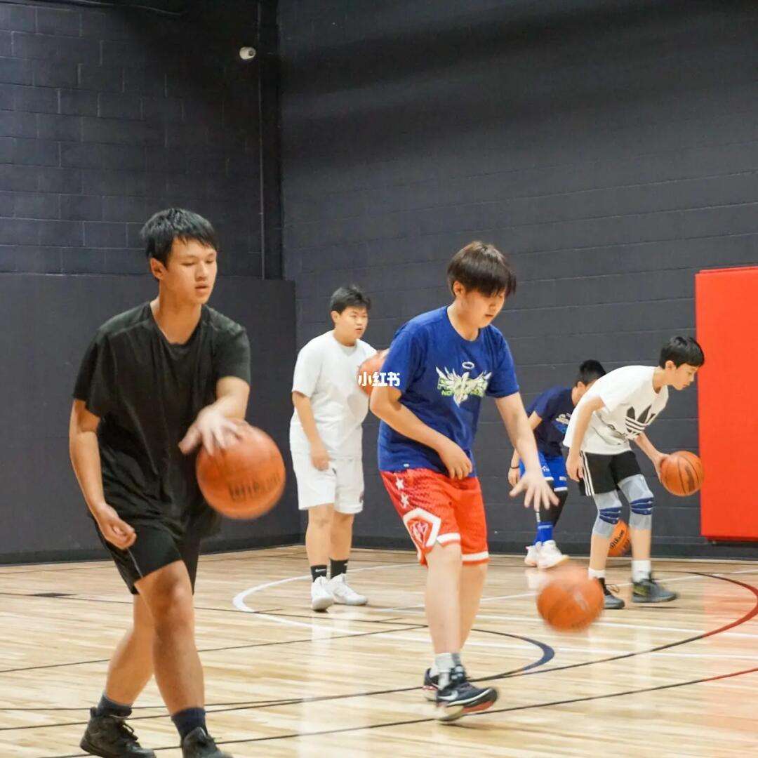 米兰体育：篮球训练营的未来：如何提供更个性化、更科学的训练方案？的简单介绍