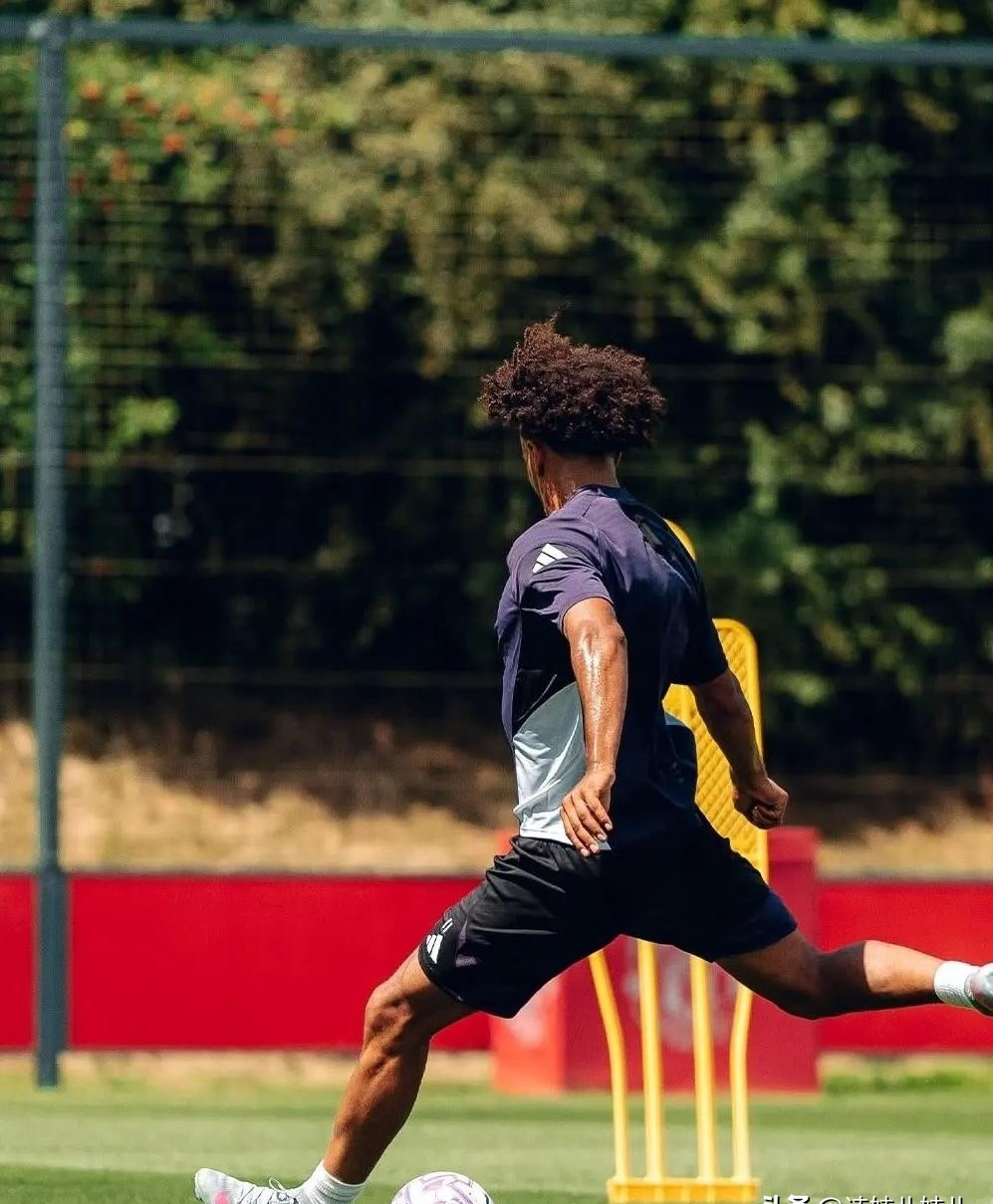 包含米兰体育:体育明星训练秘诀，提升运动表现的词条